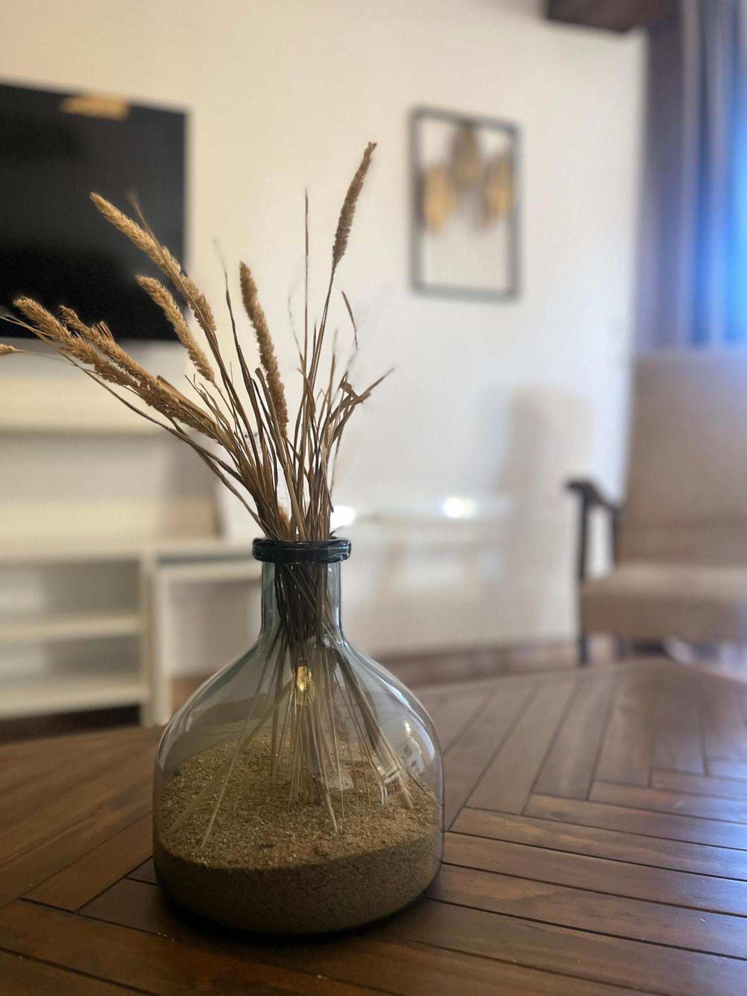 Le Petit Nancay Bed & Breakfast Thenioux Ngoại thất bức ảnh